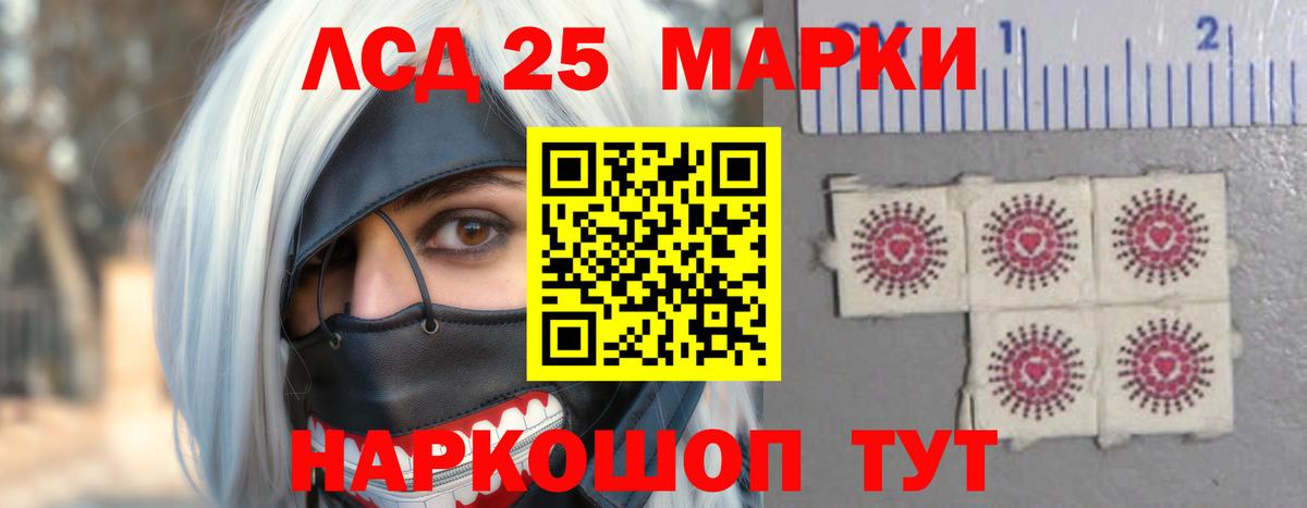 LSD-25 экстази кислота  Вход с VPN  KRAKEN ссылки  Новокубанск 