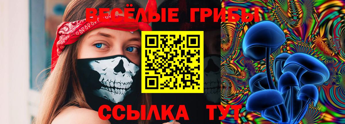 Галлюциногенные грибы Magic Shrooms  Вход с VPN  Новокубанск 